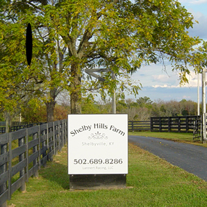 Shelby Hill Farms